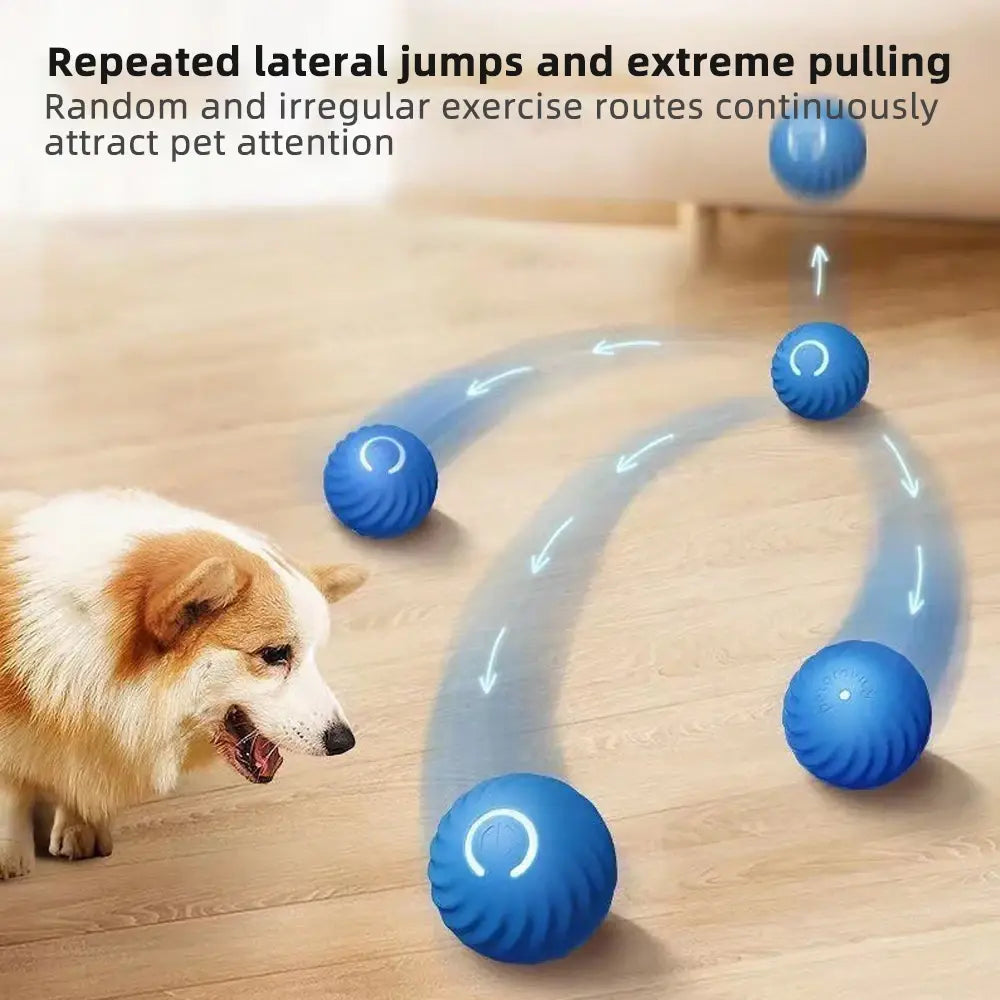 Pelota de juguete para perros en movimiento interactiva inteligente