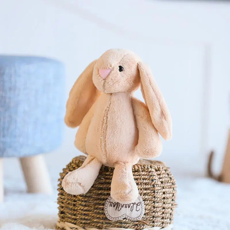 Lop-Eared Rabbit Plush Toy